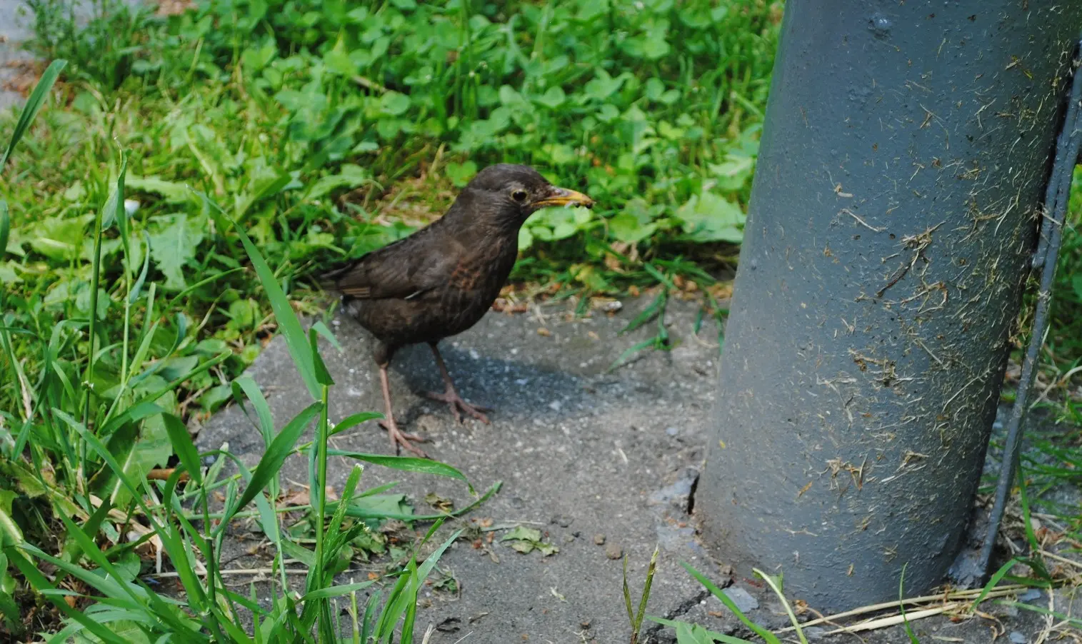 zlin-2011-denik-porotce-7