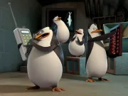 Tučňáci z Madagaskaru dostanou vlastní film