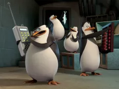 Tučňáci z Madagaskaru dostanou vlastní film