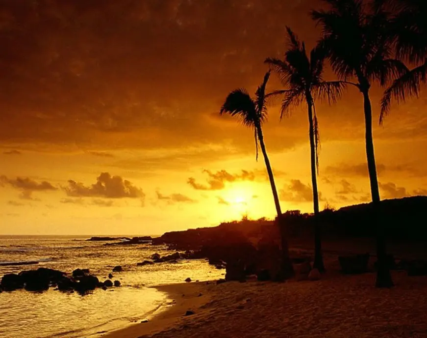 nenechte-si-ujit-draco-malfoy-zpiva-o-havaji-2