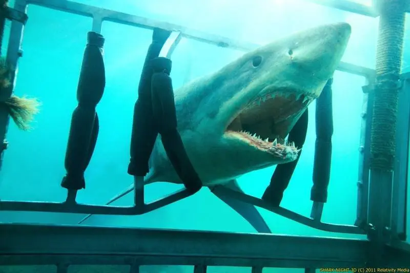 Recenze: Noc žraloka 3D vás rozesměje