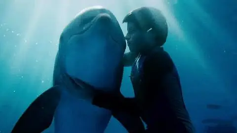 trzby-delfinek-vsechny-preskocil-1