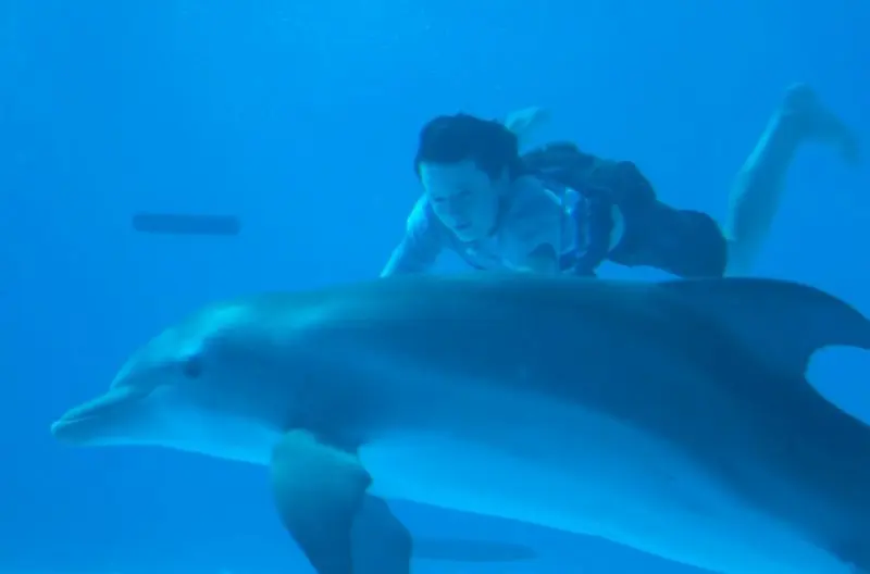 Tržby: Delfínek všechny přeskočil