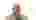 11985721abe9a02ea8102ce75a664048b383ffb0c