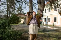 Stanislav Fišer - Santiniho jazyk (2011), Obrázek #1