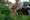Max von Sydow - Neuvěřitelně hlasitě & nesmírně blízko (2011), Obrázek #1