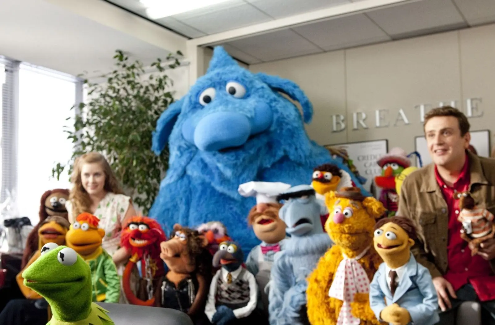 Jason Segel, Amy Adams