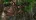 Vanessa Hudgens - Cesta na tajuplný ostrov 2 (2012), Obrázek #11