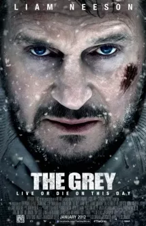 Liam Neeson - Mezi vlky (2011), Obrázek #31