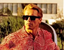 Arnold Schwarzenegger - Dvojčata (1988), Obrázek #4