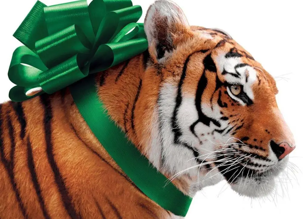 Recenze: Koupili jsme zoo je esencí neoriginality