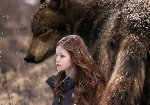 Wallpapery k Twilight: Rozbřesk - část 2