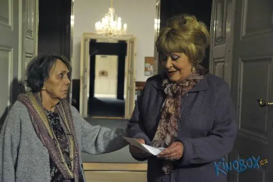 Česká kina hlásí: Okresní přebor stále vede, Vrásky z lásky trumfly Titanic!