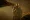 Vin Diesel - Riddick (2013), Obrázek #6