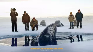 Blu-ray: Máme rádi velryby, pokud hrají v lepších filmech  (recenze)