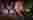 b10584ca431bee4880ce28f09c2c8f51c8c88fadb