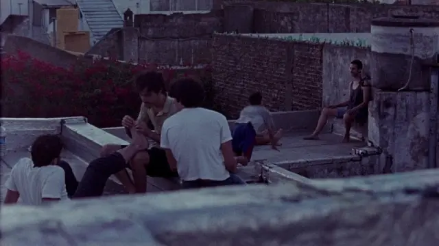 Mohl jsem vidět pumu