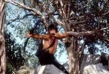 Sylvester Stallone - Rambo II (1985), Obrázek #2