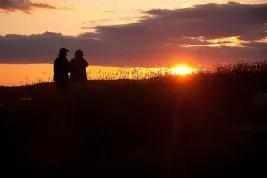 Mezipatra 2012: Druhá várka soutěžních filmů