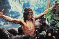 Připravuje se nový Tarzan - čeká nás návrat ve velkolepém stylu Harryho Pottera?