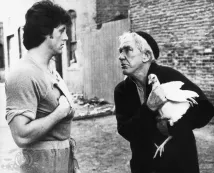 Sylvester Stallone - Rocky II (1979), Obrázek #7