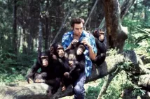 Jim Carrey - Ace Ventura: Volání divočiny (1995), Obrázek #5
