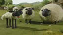 Ovečka Shaun se dočká filmového zpracování!
