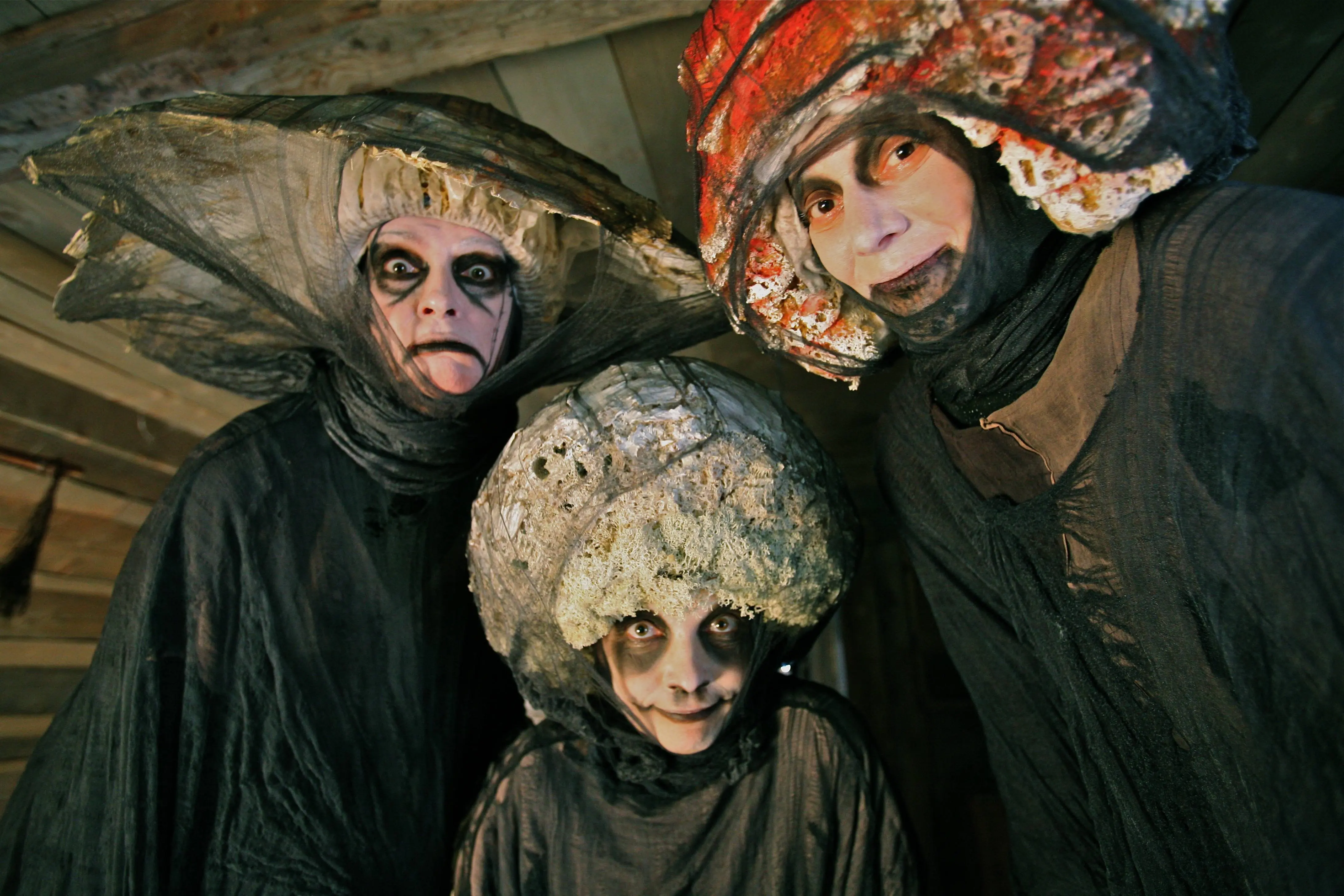 Recenze: Nová česká pohádka Kovář z Podlesí by zřejmě nedávala smysl v žádném ze známých vesmírů