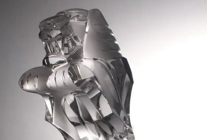 Budoucnost Českého lva: Otázky a odpovědi