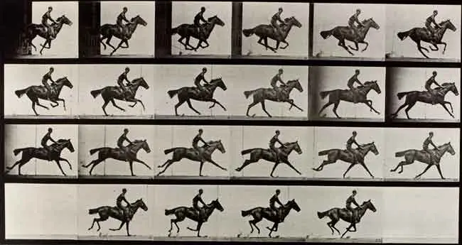 podari-se-oldmanovi-ziskat-pro-sveho-letajiciho-kone-fiennese-a-cumberbatche