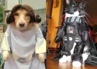 Perličky, které jste nevěděli o kostýmech ze Star Wars