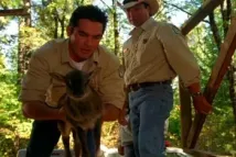 Gil Birmingham