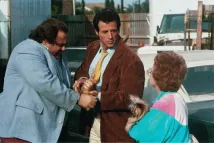 Sylvester Stallone - Stůj, nebo maminka vystřelí! (1992), Obrázek #2