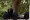 Tyrese Gibson - Rychle a zběsile 7 (2015), Obrázek #1