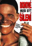 Bohové musí být šílení