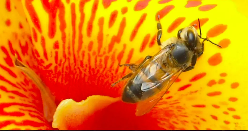 vedecke-filmy-na-life-sciences-film-festivalu-vsechny-filmy-zdarma-2