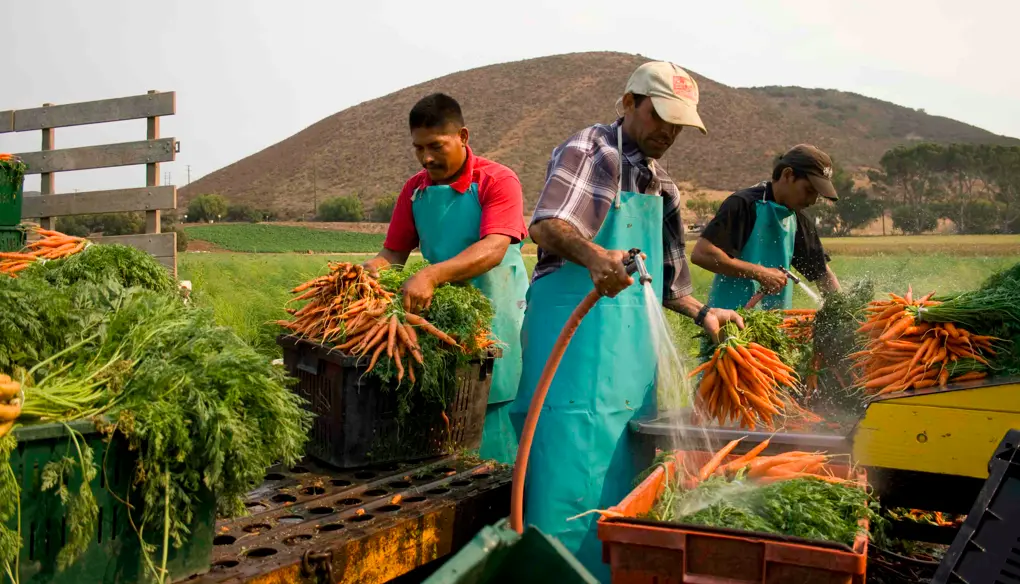 vedecke-filmy-na-life-sciences-film-festivalu-vsechny-filmy-zdarma-3