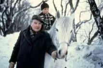 Gerard Parkes - Poslední zima (1989), Obrázek #1