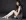 Jamie Dornan - Padesát odstínů šedi (2015), Obrázek #3