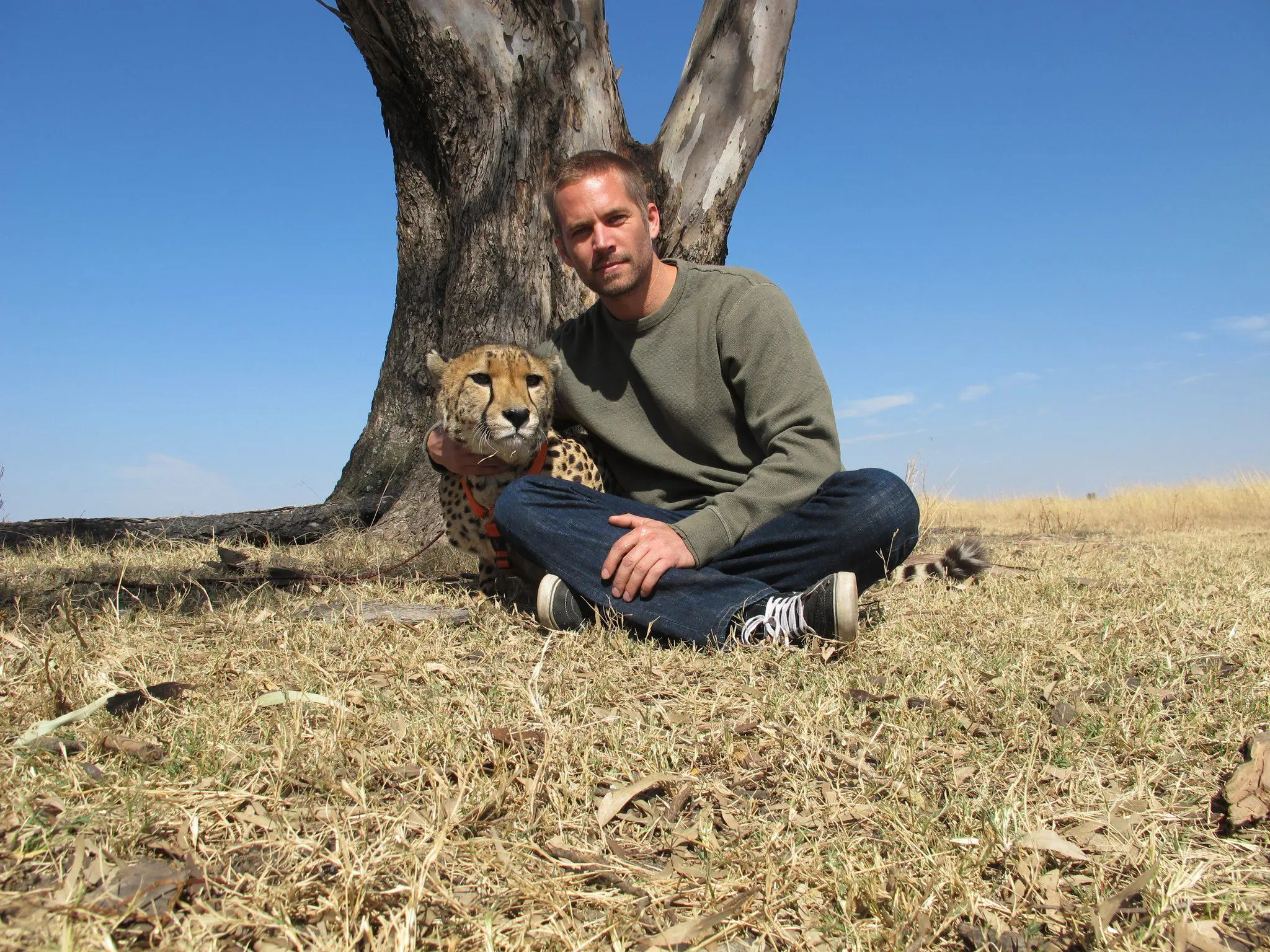 zemrel-herec-paul-walker-jak-paradoxne-pri-autonehode-3