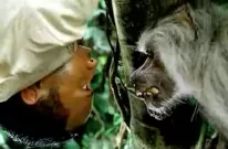 Vítejte v džungli: Trailer