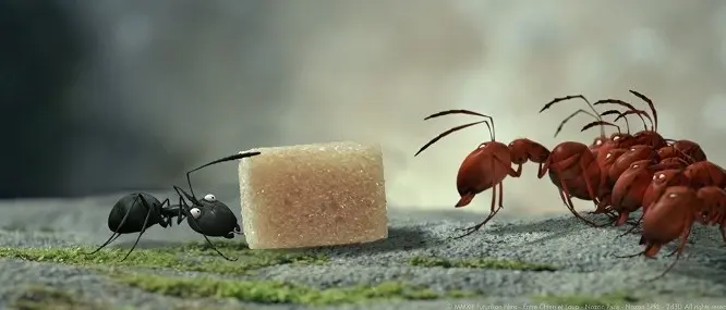 Mrňouskové: Údolí ztracených mravenců