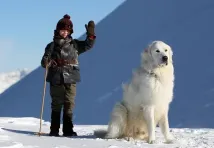 Félix Bossuet - Bella a Sebastián (2013), Obrázek #3