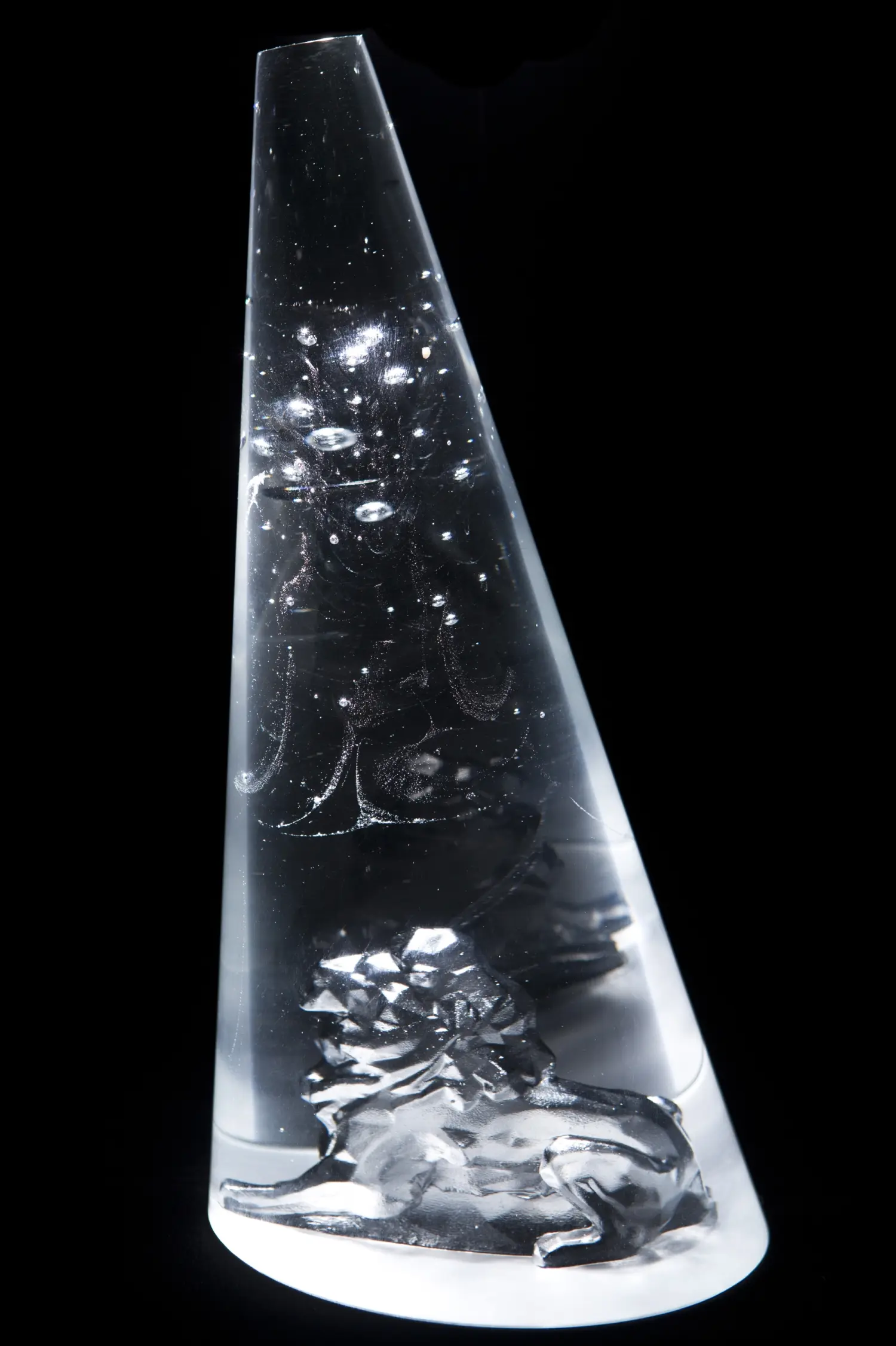 zapisky-z-rudolfina-ceska-filmova-a-televizni-akademie-se-nazrala-a-ze-lva-zbyly-jen-zbytky-4