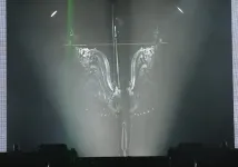 Justin Bieber - Justin Bieber's Believe (2013), Obrázek #6