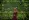 Rebecca Hall - Transcendence (2014), Obrázek #3