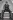Dolph Lundgren - Expendables: Postradatelní 3 (2014), Obrázek #9