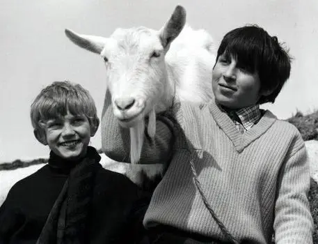 finale-plzen-neni-jen-filmovym-festivalem-predstavujeme-program-27-rocniku