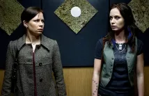 Mary Lynn Rajskub - Jarní úklid s.r.o. (2008), Obrázek #1