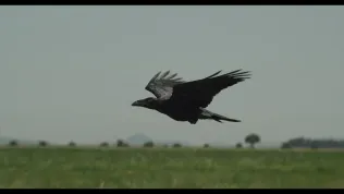 OBRAZEM: Alice Nellis začne točit pohádku Sedmero krkavců. Máme fotky z předtáček.